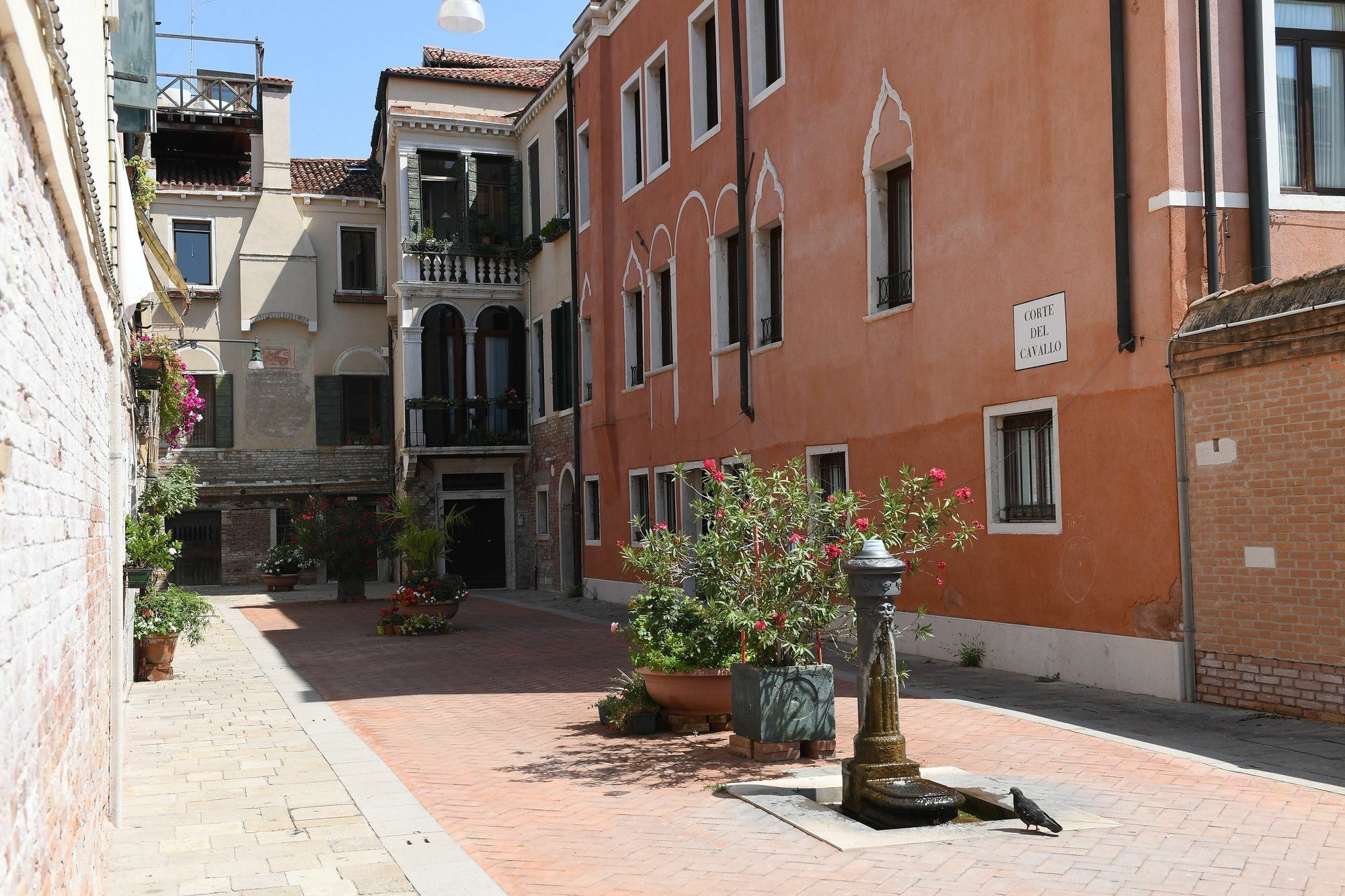 Amor Mio B&B Venice Exterior photo